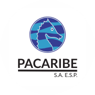 pacaribe