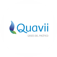 quavii